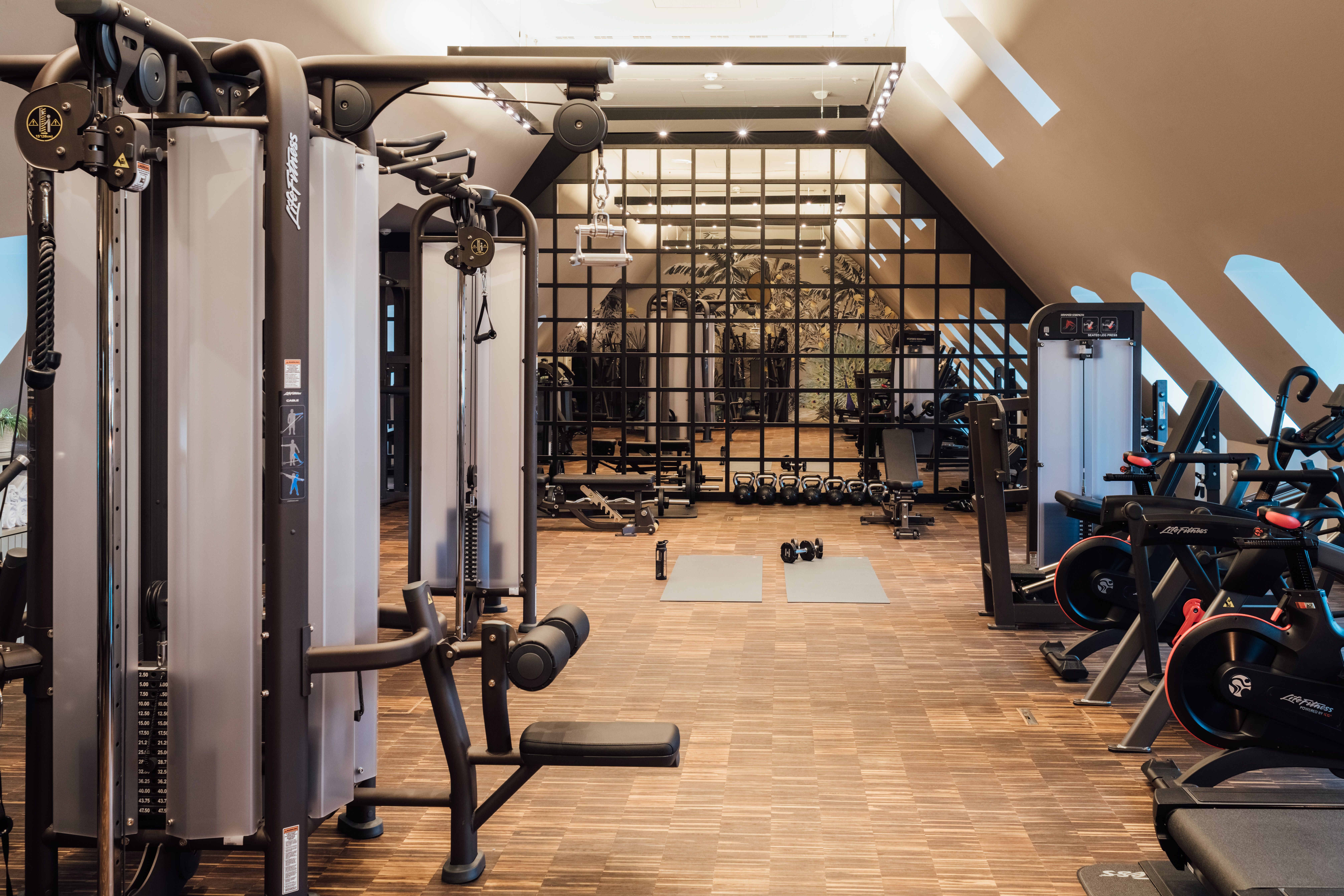Moderner Fitnessraum mit Kraft- und Cardiogeräten, Hanteln und Trainingsmatten, hell durch Dachfenster, ruhige Atmosphäre für individuelles Workout.