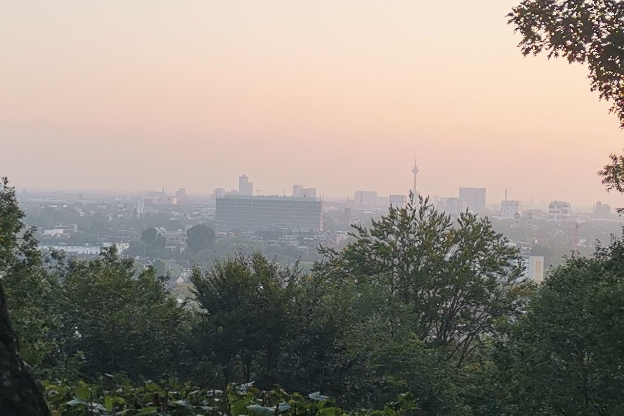 Ausblick auf eine Großstadt bei Sonnenaufgang, mit Fernseh- oder Aussichtsturm am Horizont und grünen Baumkronen im Vordergrund, die eine ruhige Verbindung zwischen Natur und urbaner Landschaft schaffen.