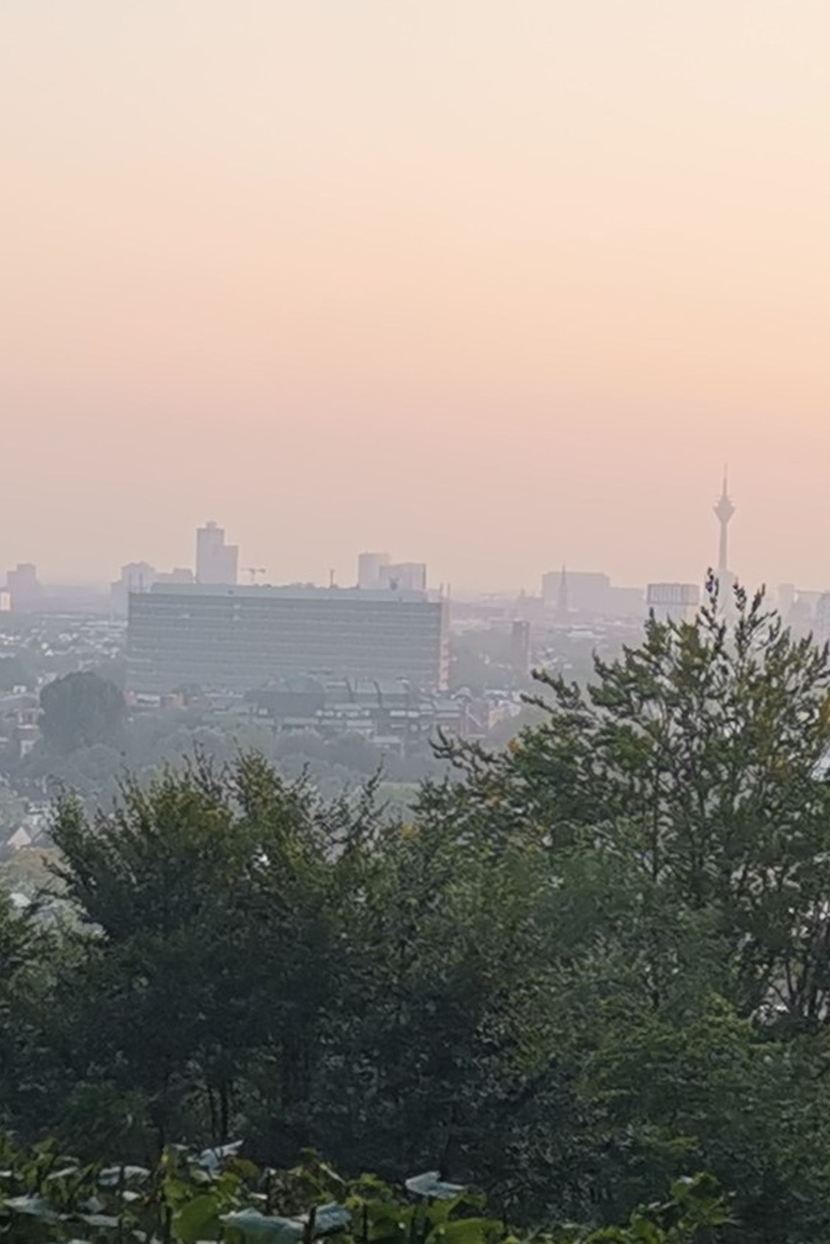 Ausblick auf eine Großstadt bei Sonnenaufgang, mit Fernseh- oder Aussichtsturm am Horizont und grünen Baumkronen im Vordergrund, die eine ruhige Verbindung zwischen Natur und urbaner Landschaft schaffen.