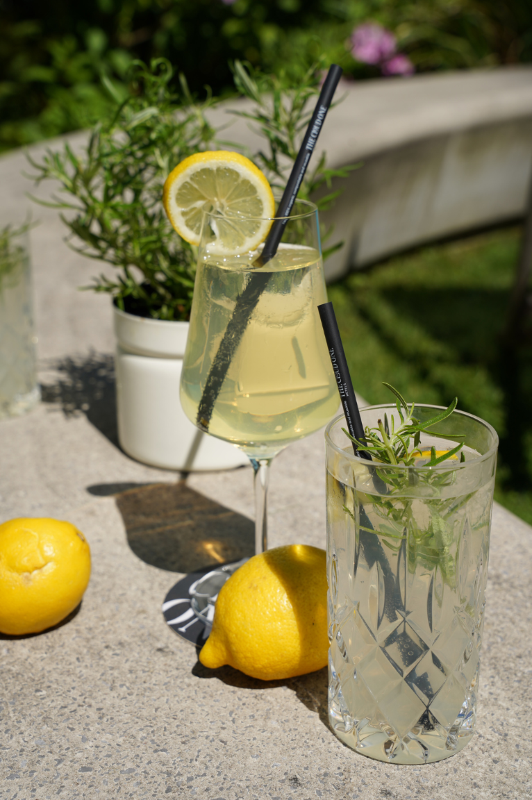 Zwei erfrischende Sommergetränke mit Zitronenscheiben und Kräutern, serviert in eleganten Gläsern auf einer sonnigen Terrasse, umgeben von grünen Pflanzen.