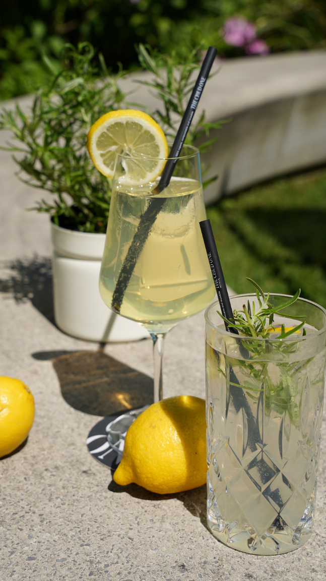 Zwei erfrischende Sommergetränke mit Zitronenscheiben und Kräutern, serviert in eleganten Gläsern auf einer sonnigen Terrasse, umgeben von grünen Pflanzen.